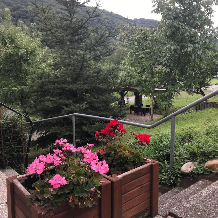 סנקט אלדגונד Moselina Gaestezimmer מראה חיצוני תמונה