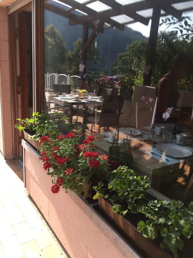 סנקט אלדגונד Moselina Gaestezimmer מראה חיצוני תמונה